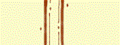 sidebar.gif (3621 bytes)